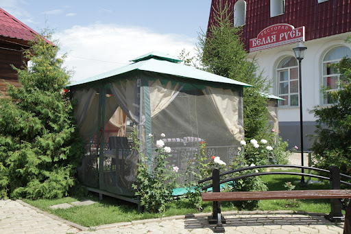 Белая русь